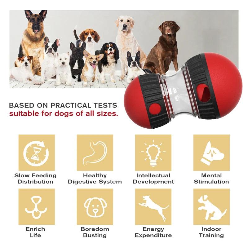 Jouets interactifs pour chiens - Vitrine Virtuelle